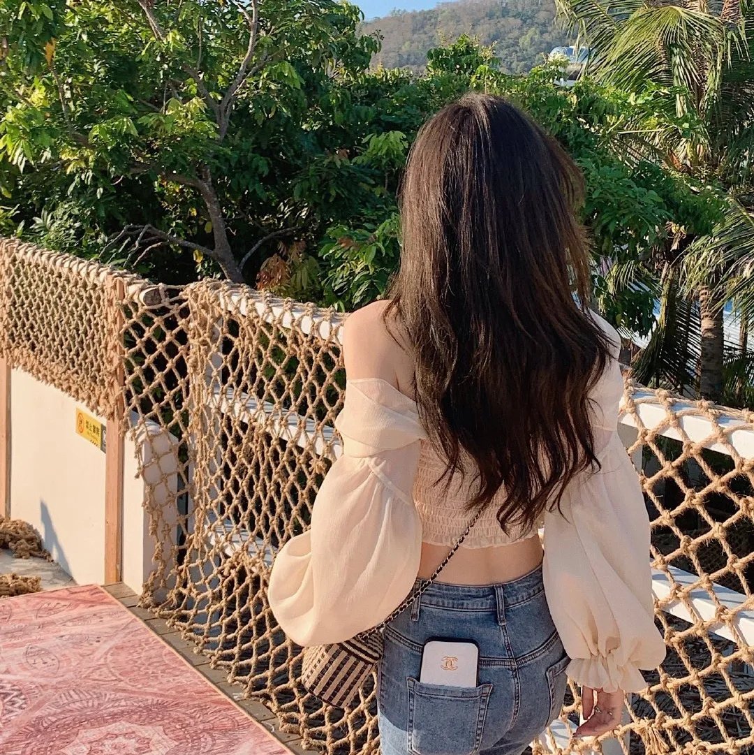 森林进化论第三季